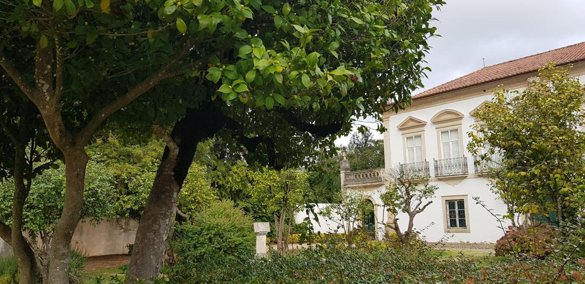 Palacio Da Portela III Coïmbre Extérieur photo